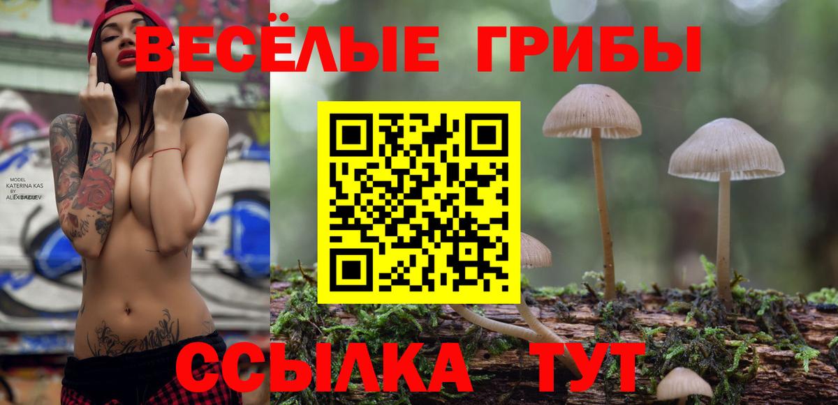 Галлюциногенные грибы MAGIC MUSHROOMS  где купить   Лянтор  Вход с VPN  Галлюциногенные грибы Magic Shrooms 